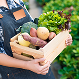 Farmers Market