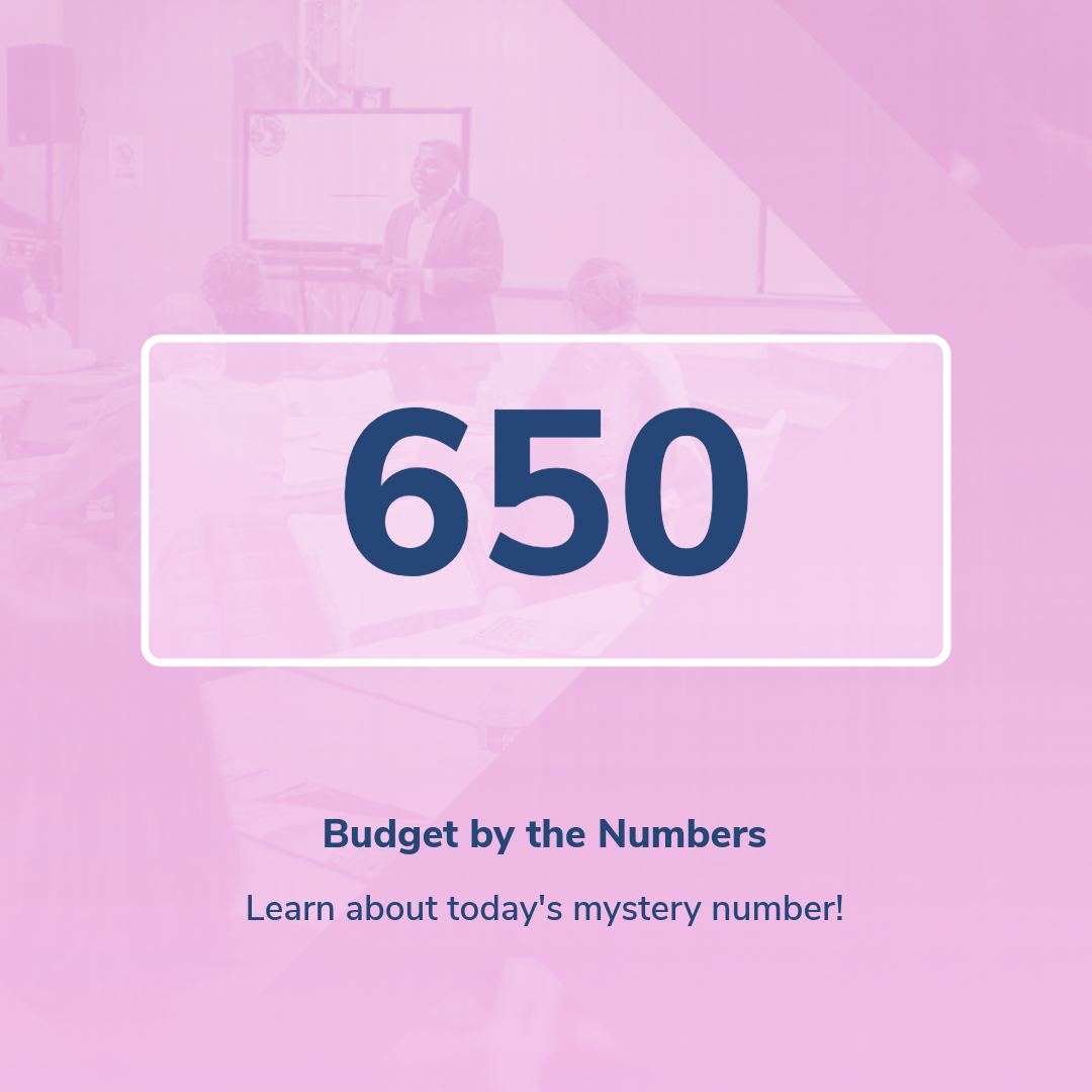 the number 650 on a pink background and the subheader Budget by the Numbers