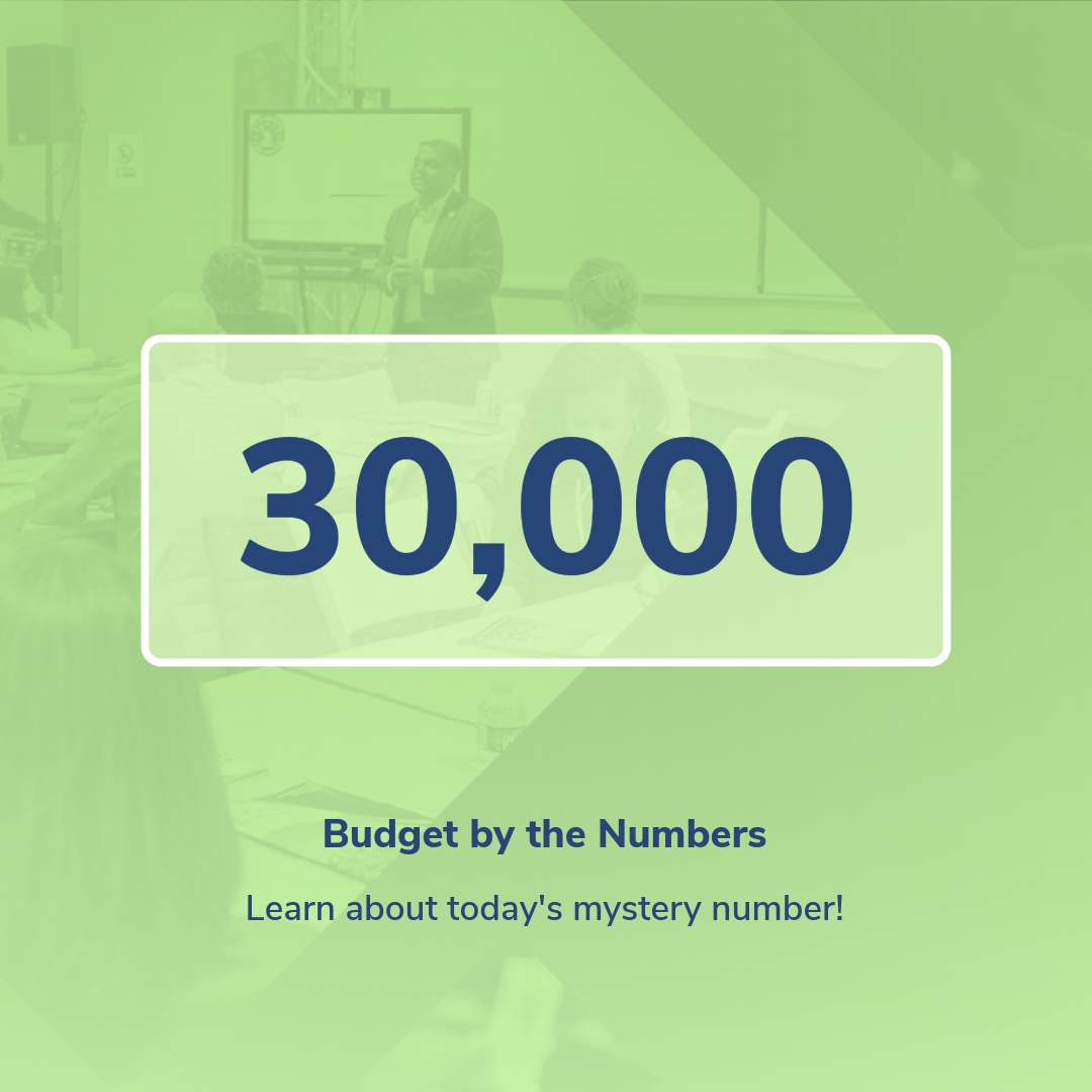 the number 30,000 on a green background and the subheader Budget by the Numbers