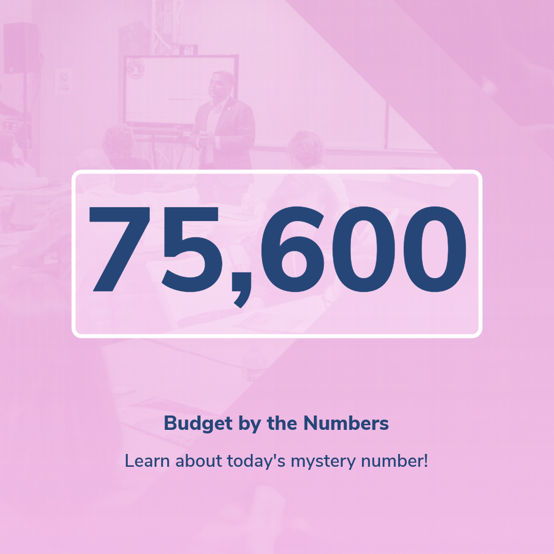the number 75,600 on a pink background and the subheader Budget by the Numbers