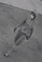 Burglary Suspect