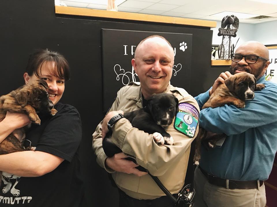 Donate a Vehicle - Richmond SPCA