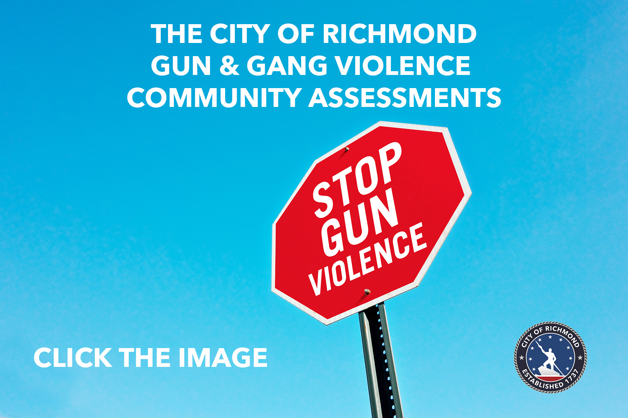 Gun and Gang Violence Assessments