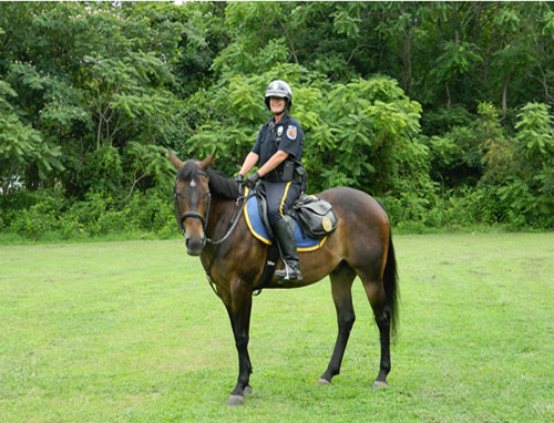 Officer Amanda Bass and Scooter