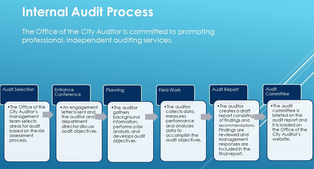 Audit Process Infographic