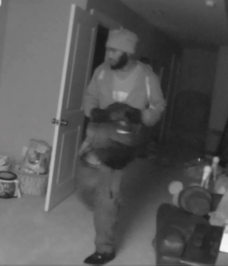 Goochland County Burglary Suspect