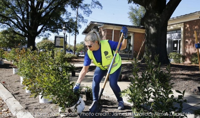 Planting A Rain Garden